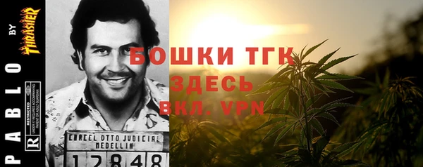 мдпв Липки