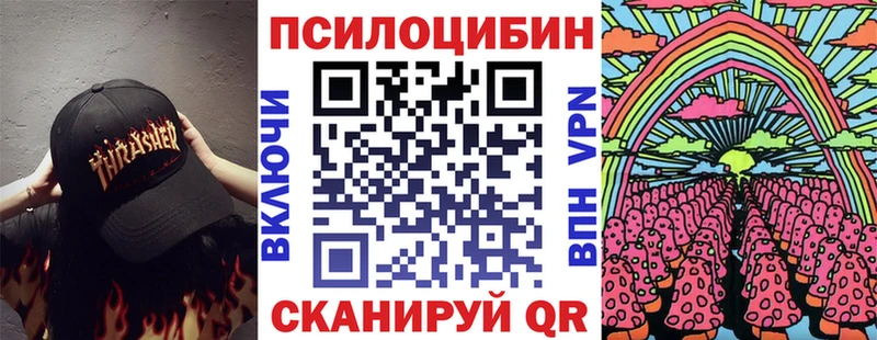 Купить  Киров  Галлюциногенные грибы Psilocybe 